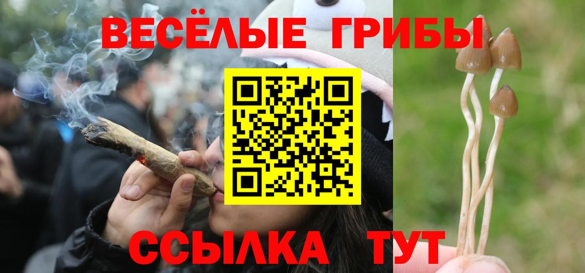 Костомукша  купить   Вход с VPN  Галлюциногенные грибы ЛСД  Галлюциногенные грибы Cubensis 