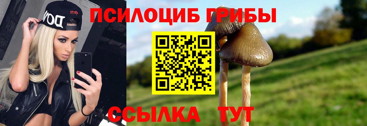Псилоцибиновые грибы прущие грибы Костомукша